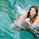 #2. Swim with Dolphins (http://mslistologist.com/)
